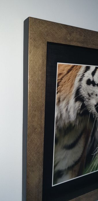 Obraz ramka rama ozdoba safari Afryka tygrys