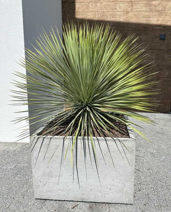 Donica betonowa ogrodowa zbrojona włóknami GFRC ze stopami