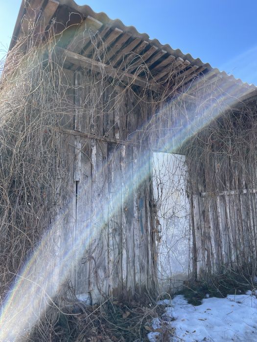 Віддам безкоштовно дошки на дрова з сараю та шифер