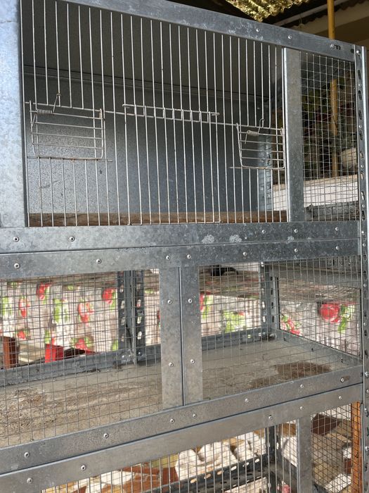 Gaiolas de pássaros