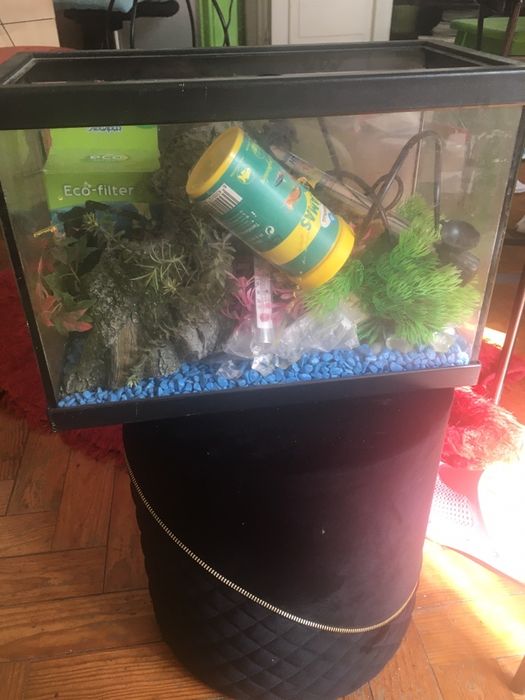 Aquario e kit de acessorios