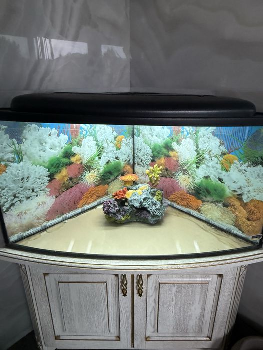 Акваріум для рибок