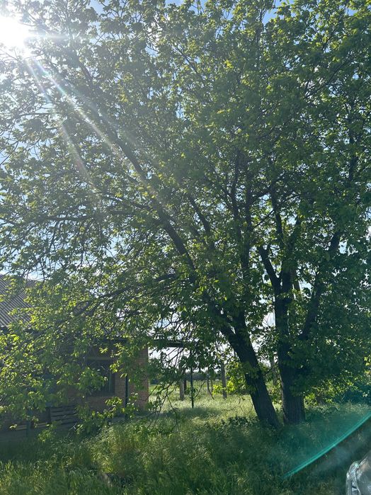 Дом на две половини