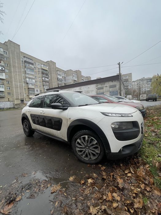 Продам c4 cactus