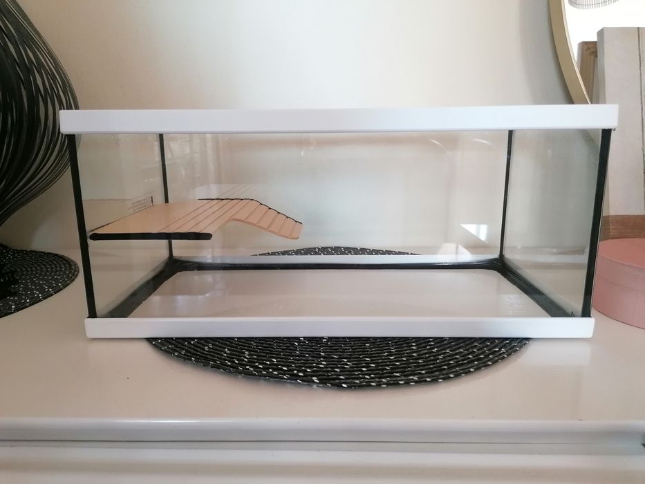 Aquáterrario para tartaruga