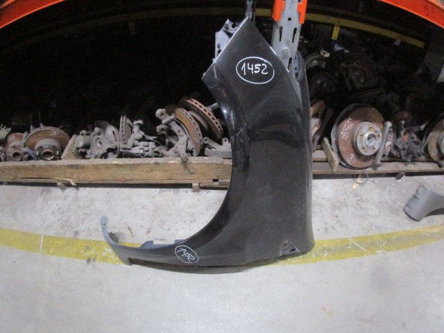 Guarda-lamas esquerdo RENAULT Clio III (BR0/1, CR0/1)