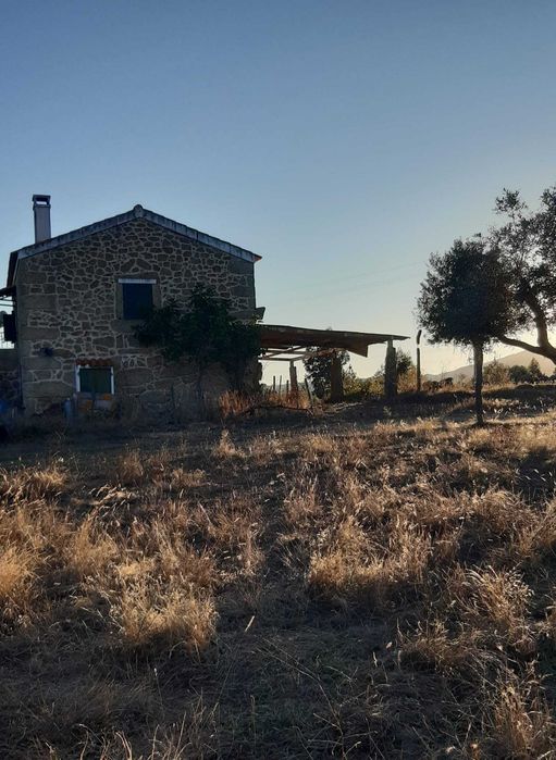 Quinta 32 hectares  Beira Baixa