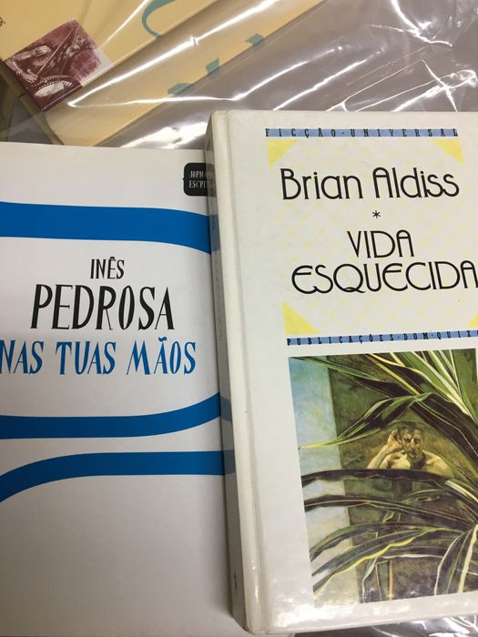 Vinho e guias e Portugal em datas e mais livros