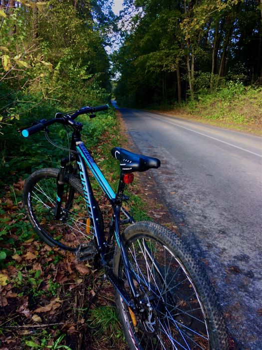 велосипед. Ровер