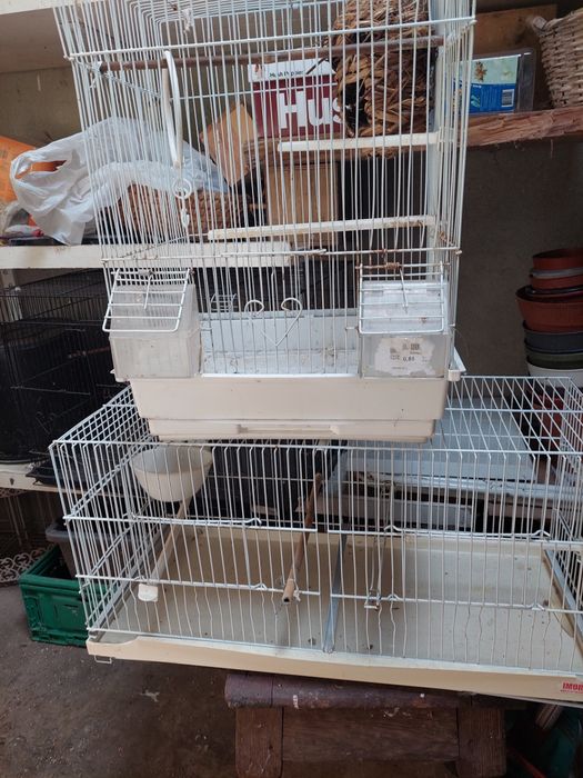 Gaiolas usadas para passaros