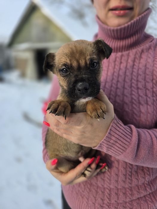 Хлопчики в добрі ручки!