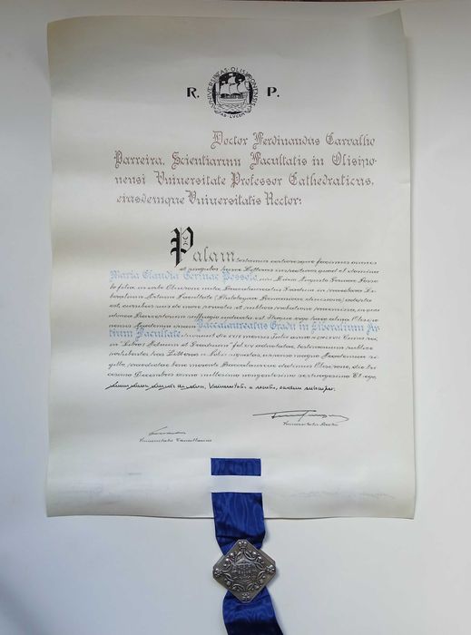 Diploma universitário com selo em prata