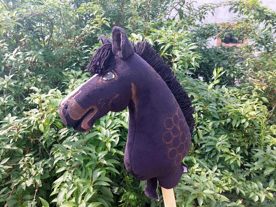 Czarny Hobby Horse