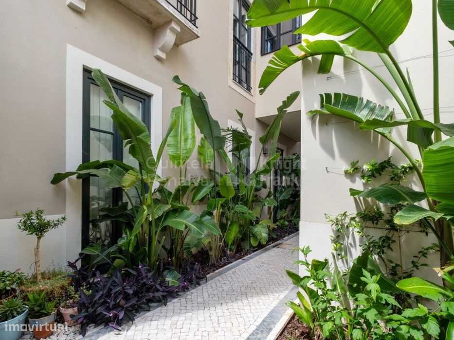 Moradia T1 com jardim para arrendamento na Lapa em Lisboa