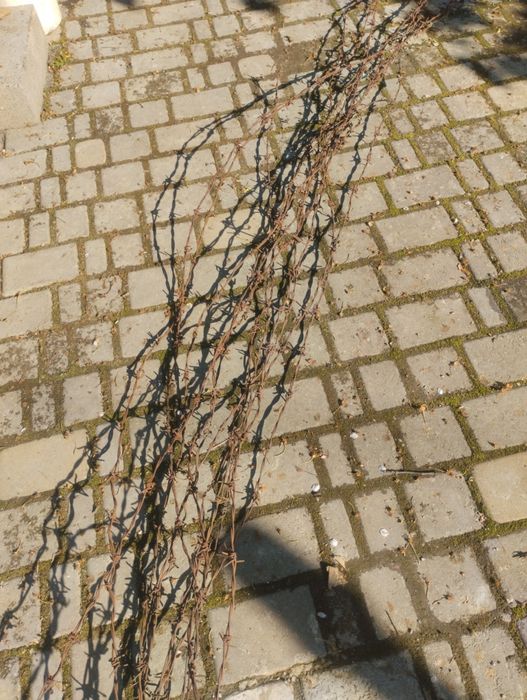 Колючий дріт оцинкований б/у по 3м