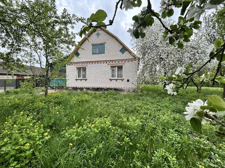 Продам будинок в селі Студениця ( центр села , є школа та садочок)