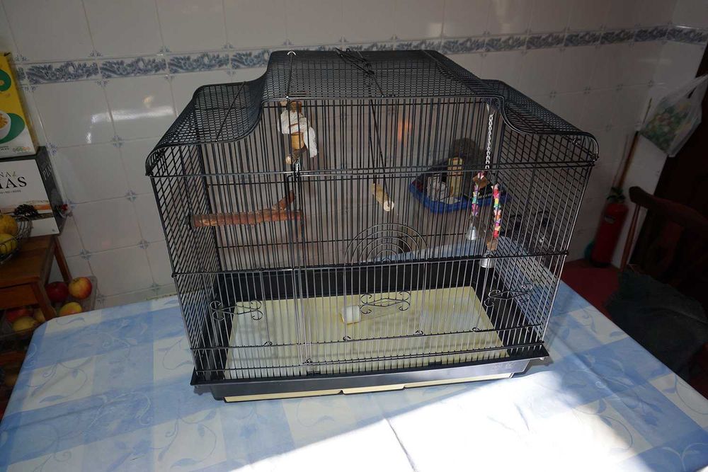 Gaiola Preta Grande Esquilos ou Pássaros