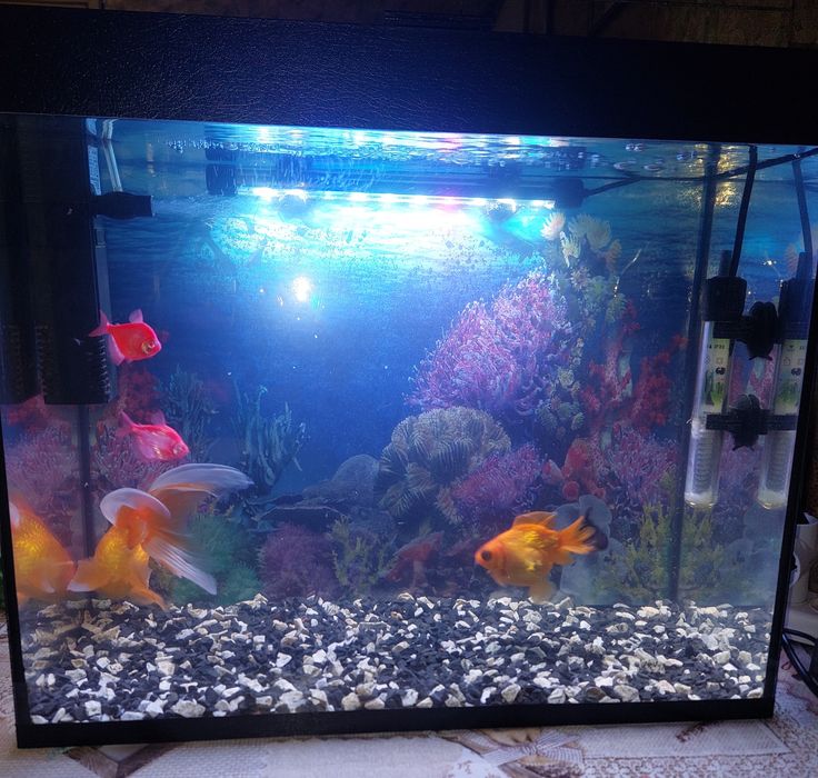 Продаётся Аквариум с рыбками. В полном комплекте!