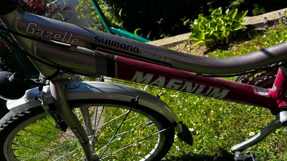 Rower Magnum 24 cale