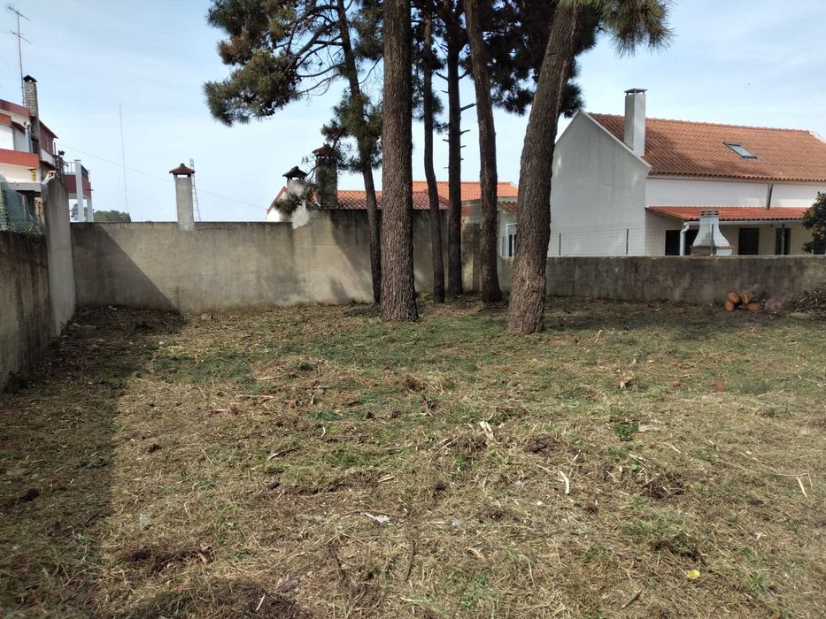 Limpeza de terrenos cortes e podas de árvores.