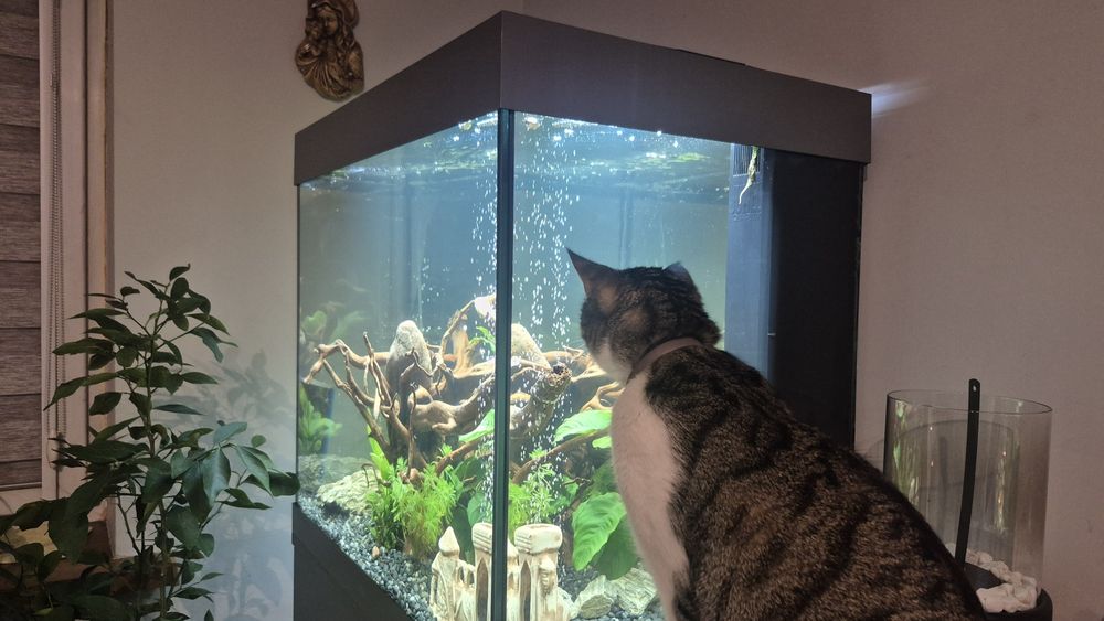 Juwel lido 200 LED Z SZAFKĄ (NOWE)