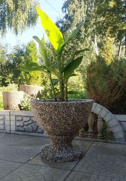 Продам вазон, кашпо, горшок для цветов