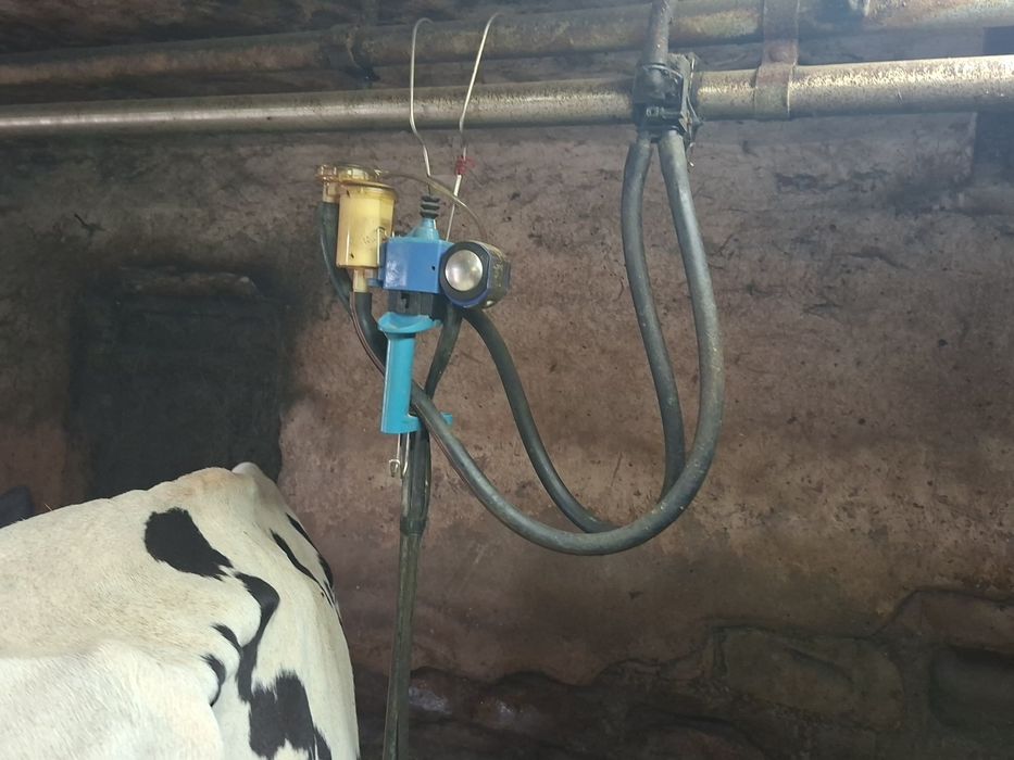 Dojarka Alfa laval 4 aparaty bezprzewodowa