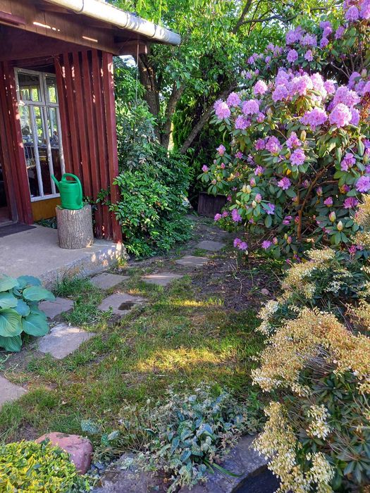 Sprzedam działkę ogrodniczą na ROD im. J. Wagi w Łomży