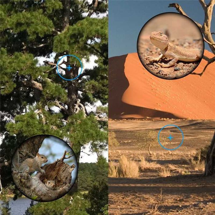 MONOKULAR Survival Myśliwski 40x60 Luneta Lornetka OBIEKTYW + STATYW