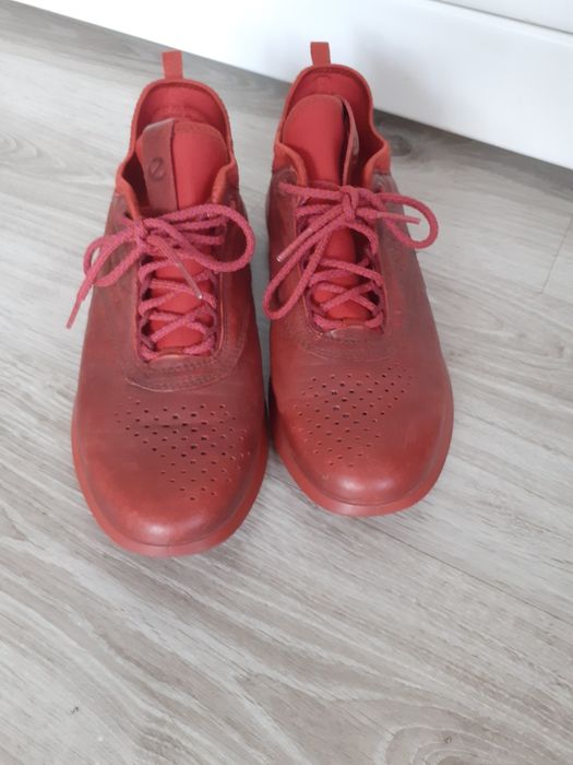 Buty Ecco rozmiar 36