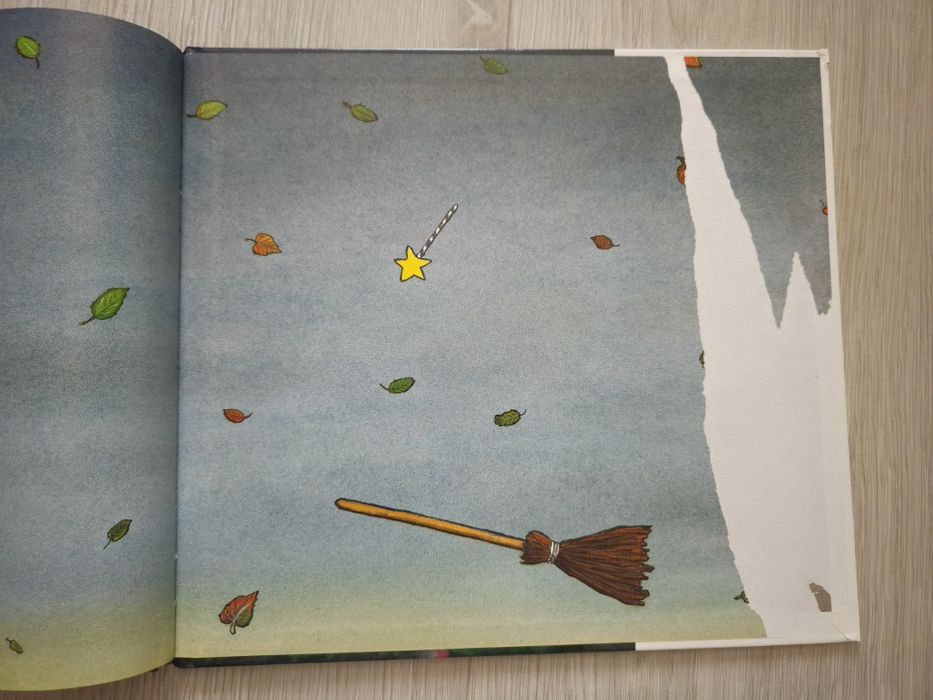 Książka Miejsce na miotle Donaldson Scheffler