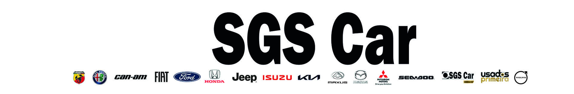 SGS Car top banner