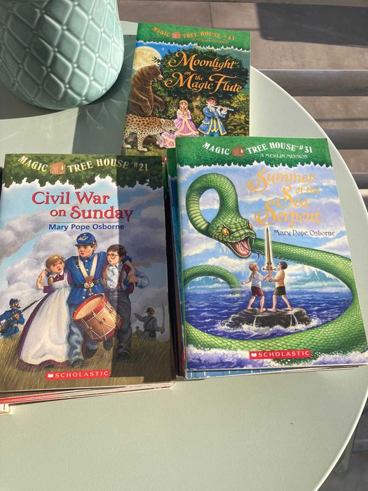 Livros infantis - Coleção Magic Tree House - Super set #1 - #49