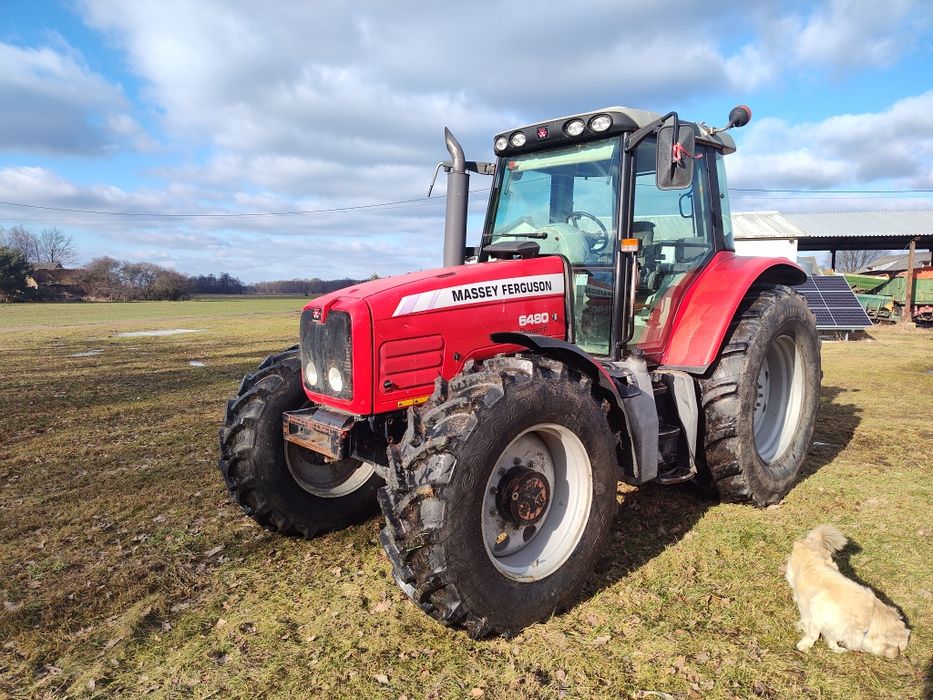 Massey Ferguson 6480 sprowadzony kabina amortyzowana