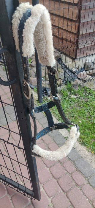 Kantar dla konia, używany