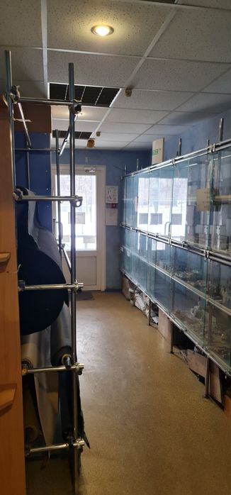 Здам в оренду магазин