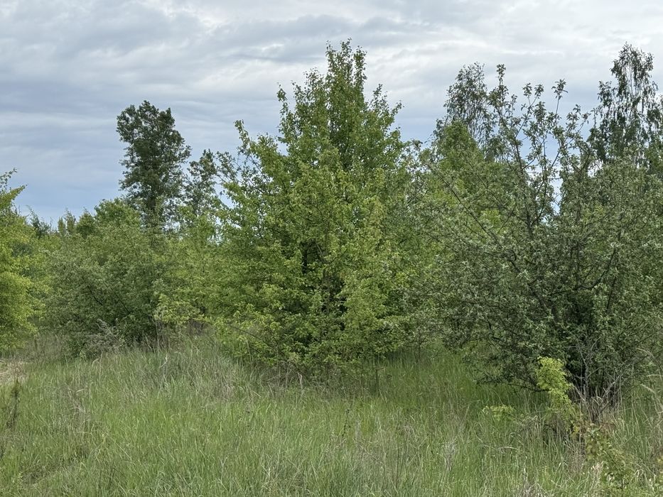 Земельна ділянка 1,5 га!!! Пилиповичі