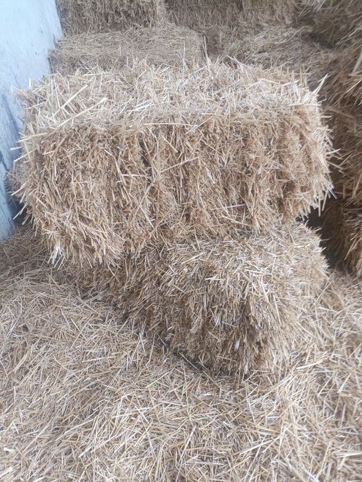 Тюки соломи пшенична