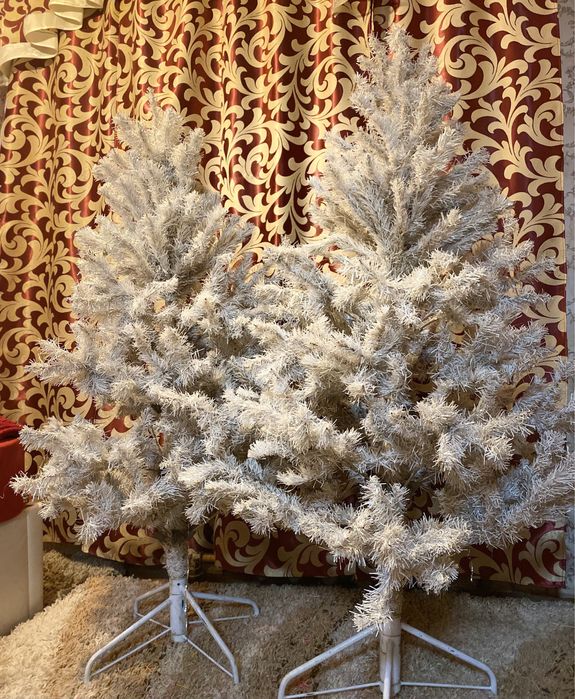 Елка елочка сосна ель