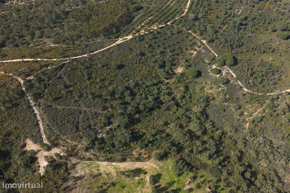 Herdade de 10 hectares em Melides
