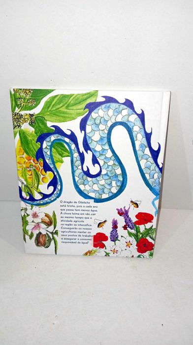 Vamos Salvar o Dragão