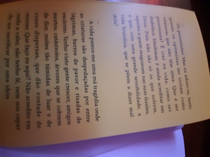 Diário de K. Maurício de Raul Brandão