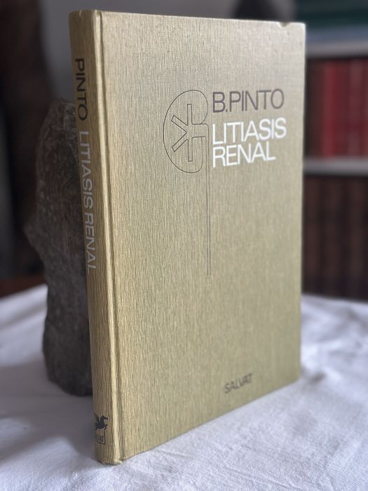 Renal Lithiasis by Bernardo Pinto