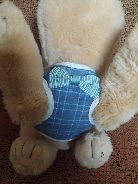 Шлея для собак. S.