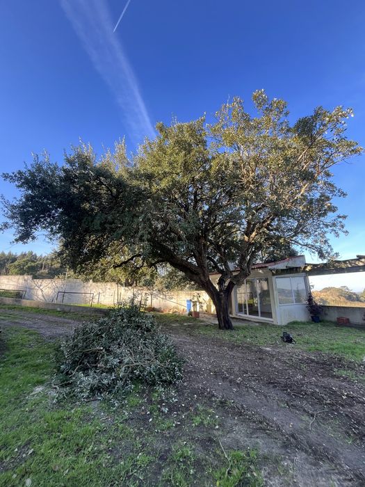 Limpeza de terrenos/ Prestação de Serviços /  jardins