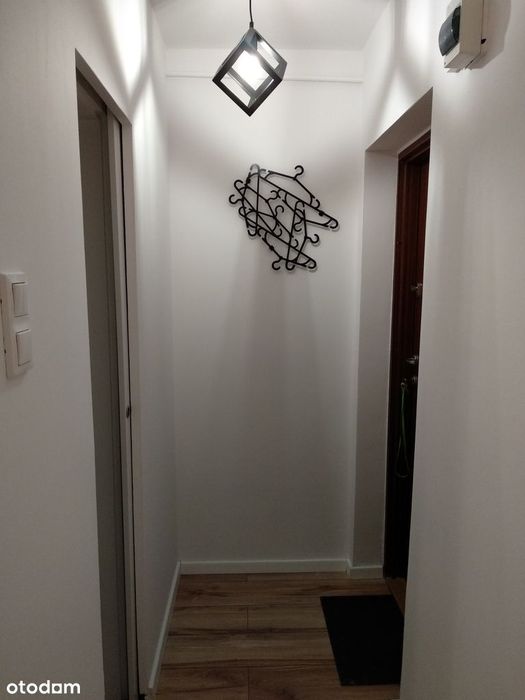 Zdjęcie 2