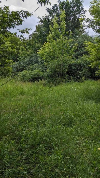 Продаж земельної ділянки с.Дзвінкове. Без комісії для покупця!