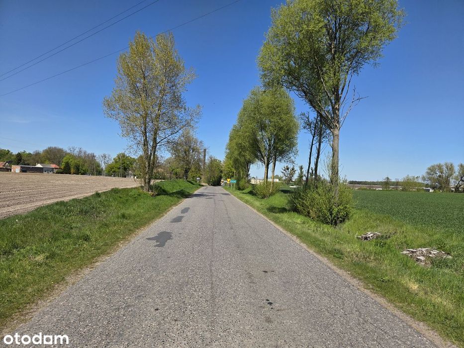 Działka o pow. 4,51 ha usługowo-magazynowa Śnieciska, gm. Zaniemyśl