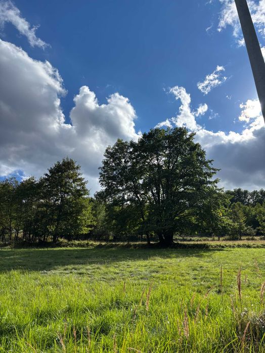 Działka na sprzedaż - 1288 m² w Pewelce | Uzbrojona | Malownicze tereny górskie