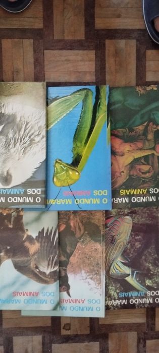 Enciclopédia o mundo maravilhoso dos animais